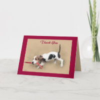 Scooter...Basset Hound Puppy...Thank You!...Card.