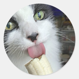 "Scooter with bananas snack" Classic Round Sticker