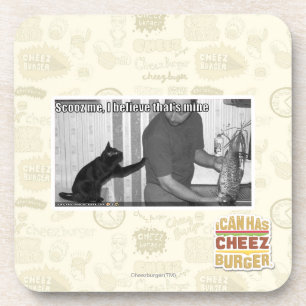 Scooz me, I believe that's mine Coaster