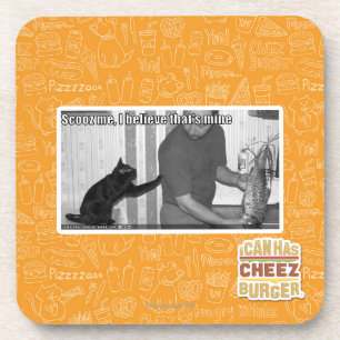 Scooz me, I believe that's mine Coaster