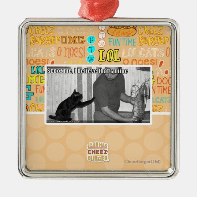 Scooz me, I believe that's mine Metal Ornament (Front)