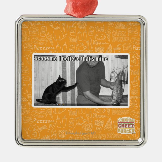 Scooz me, I believe that's mine Metal Ornament (Front)