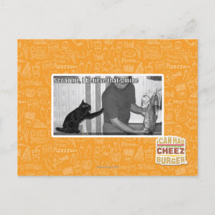 Scooz me, I believe that's mine Postcard