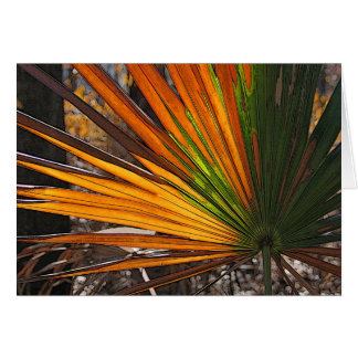 Scorched Palmetto