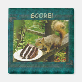 score squirrel square magnet