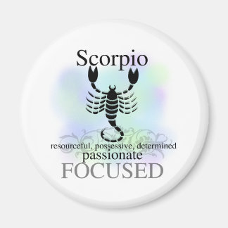 Scorpio About You Magnet
