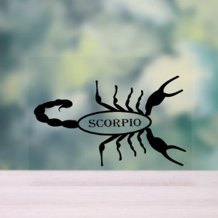 Scorpio Black Scorpion Star Sign
