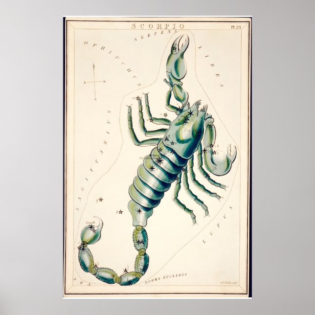 Scorpio Constellation Fine Art Print Antique (Front)