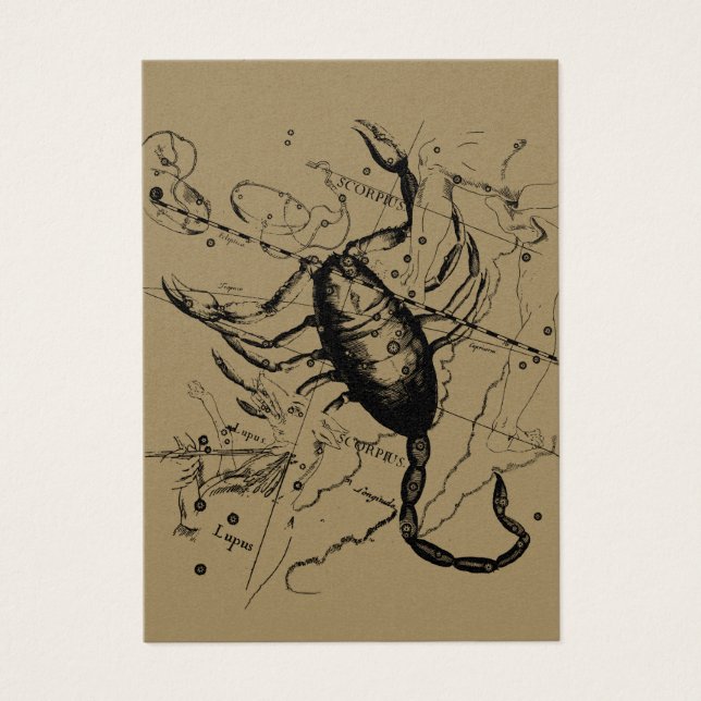 Scorpio Constellation Hevelius 1690 Décor (Devant)