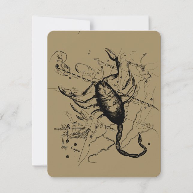 Scorpio Constellation Hevelius 1690 Decor (Front)