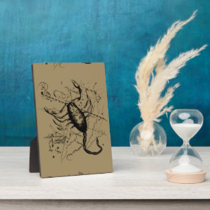 Scorpio Constellation Hevelius 1690 Engraving Plaque