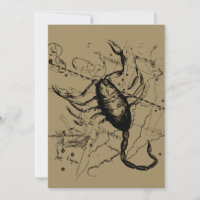 Scorpio Constellation Hevelius 1690 Oct23 -Nov 21