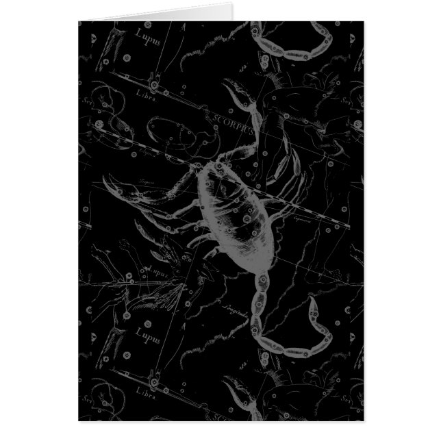 Scorpio Constellation Hevelius 1690 on Black (Front)
