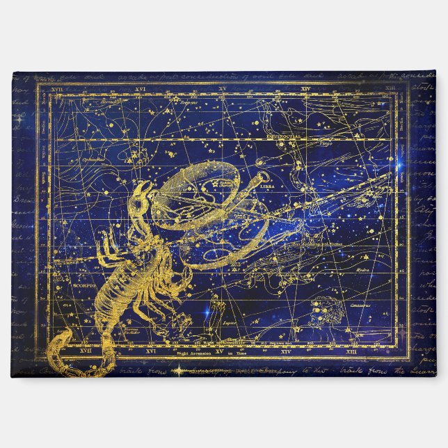 scorpio constellation magnet (Front)