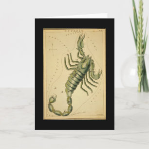 Scorpio Greeting Card