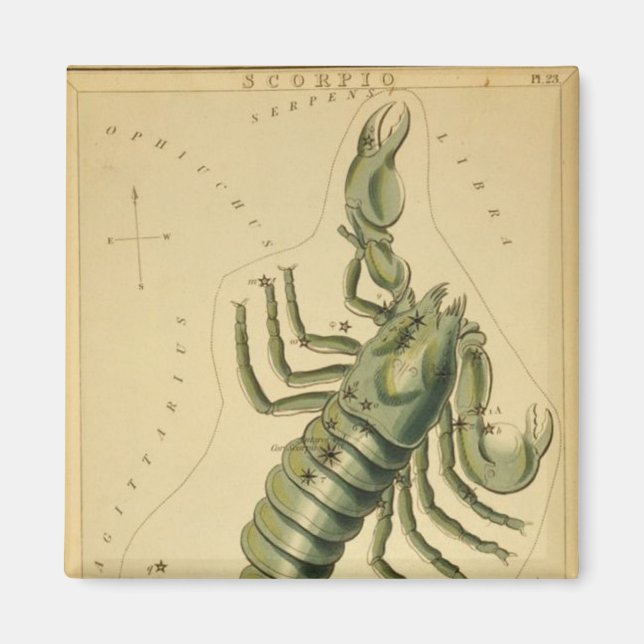 Scorpio Magnet (Front)