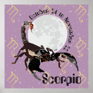 Scorpio Oct. 24 to Nov. 22 Posters & Art Prints