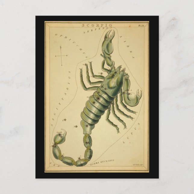 Scorpio Postcard (Front)