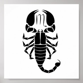 scorpio scorpion astrology zodiac horoscope poster
