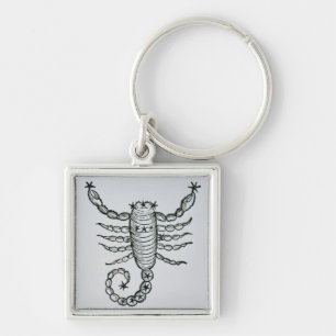 Scorpio (the Scorpion) an illustration from the 'P Keychain