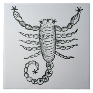 Scorpio (the Scorpion) an illustration from the 'P Tile
