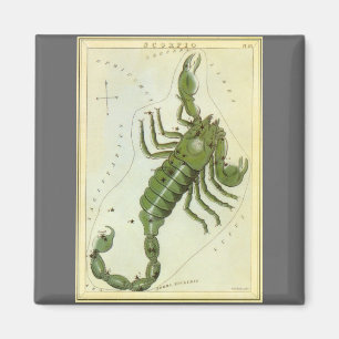 Scorpio, Vintage Constellation Urania's Mirror Magnet