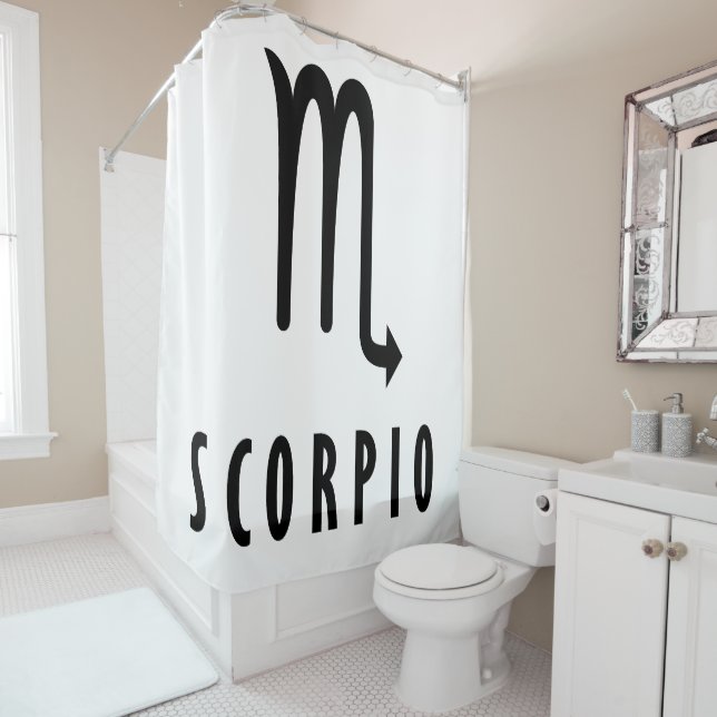 Scorpio zodiac (In Situ)