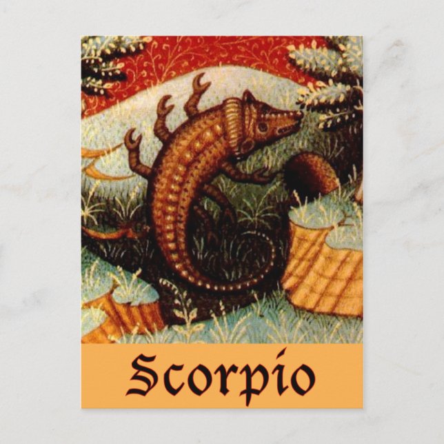 Scorpio Zodiac Sign Postcard (Front)