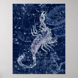 Scorpio Zodiac Sign Vintage Illustration