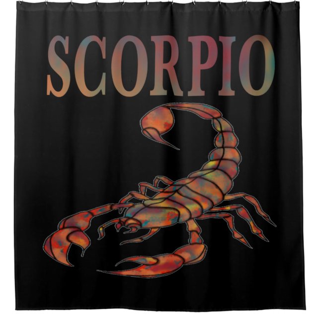 Scorpio Zodiac Symbol  (Front)