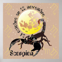 Scorpion 24 octobre au 22 novembre Poster