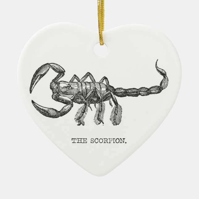 Scorpion animal gift scary animals ceramic ornament (Front)