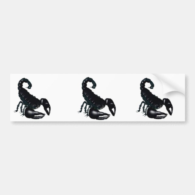 Scorpion Bumper Sticker (Front)