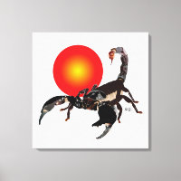 scorpion canvas