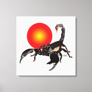scorpion canvas