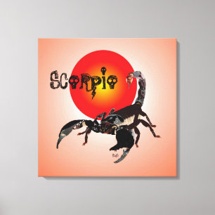 scorpion canvas print