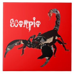 scorpion ceramics photo tile