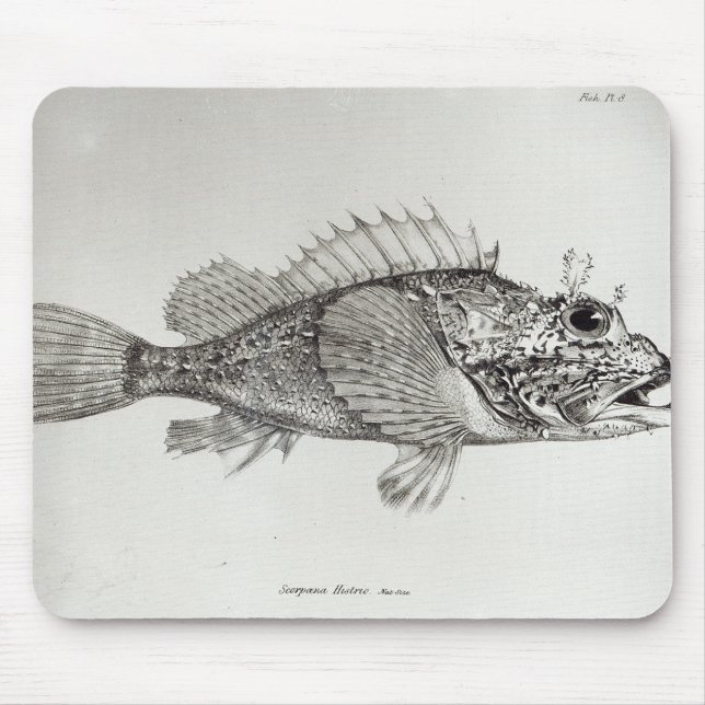 Scorpion Fish Mouse Pad (Front)