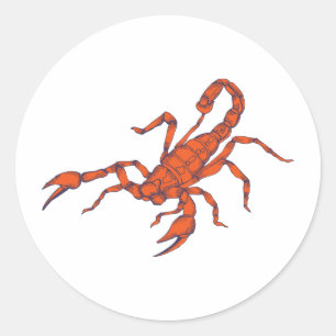 Scorpion ~ Insect Scorpio Scorpions Classic Round Sticker