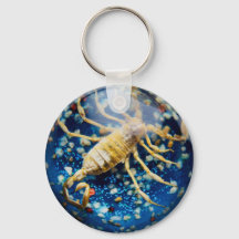 Scorpion Keychain
