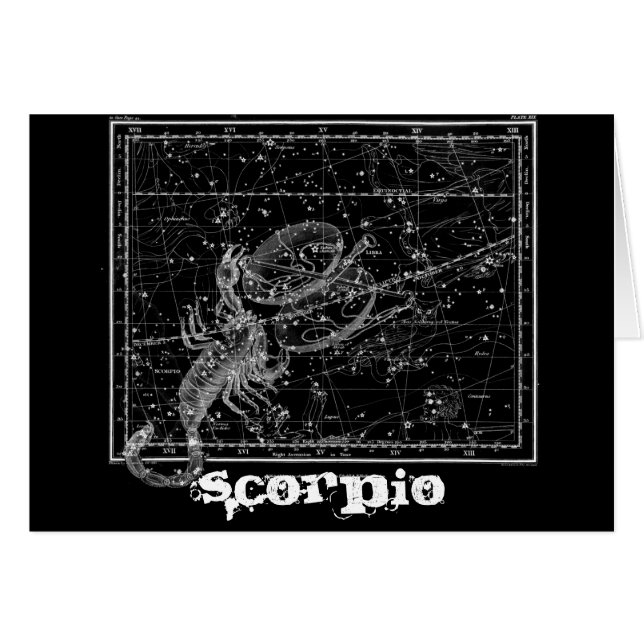 Scorpion, le scorpion (Devant horizontal)