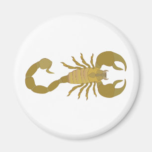 Scorpion Magnet