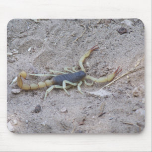Scorpion Mouse Pad