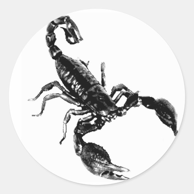Scorpion noir sur autocollant blanc (Devant)
