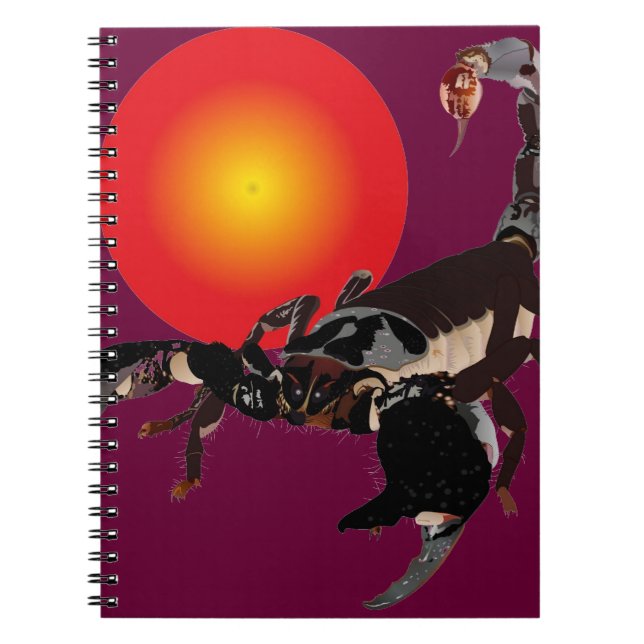 scorpion notebook (Front)