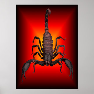 SCORPION OF WAR POSTER