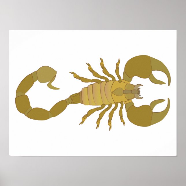 Scorpion Poster (Front)