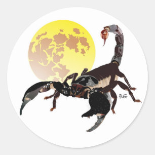 scorpion sticker