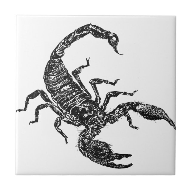 Scorpion Tile (Front)