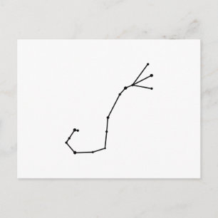 Scorpius Zodiac Postcard